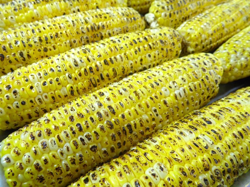 Grilled Corn on the Cob